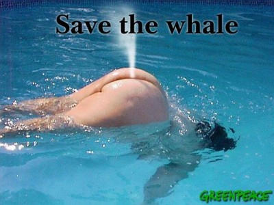 SaveTheWhale.jpg