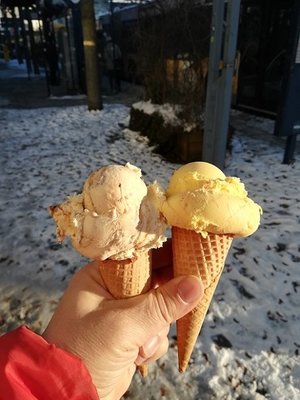 Eiszeit in Neu-Ulm_03.jpg