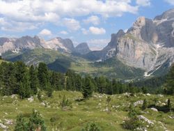 IMG_3930.JPG