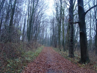 DSC04449.JPG